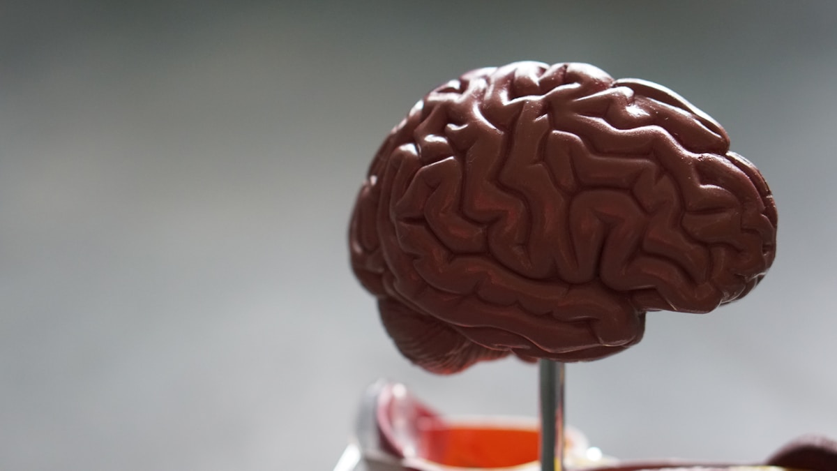 Adderall for ADHD: How It Works, Benefits, and Risks
