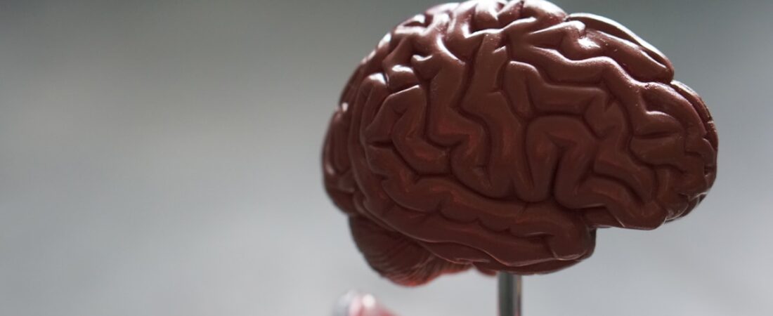ADHD and Autism (AuDHD): How They Overlap and Differ