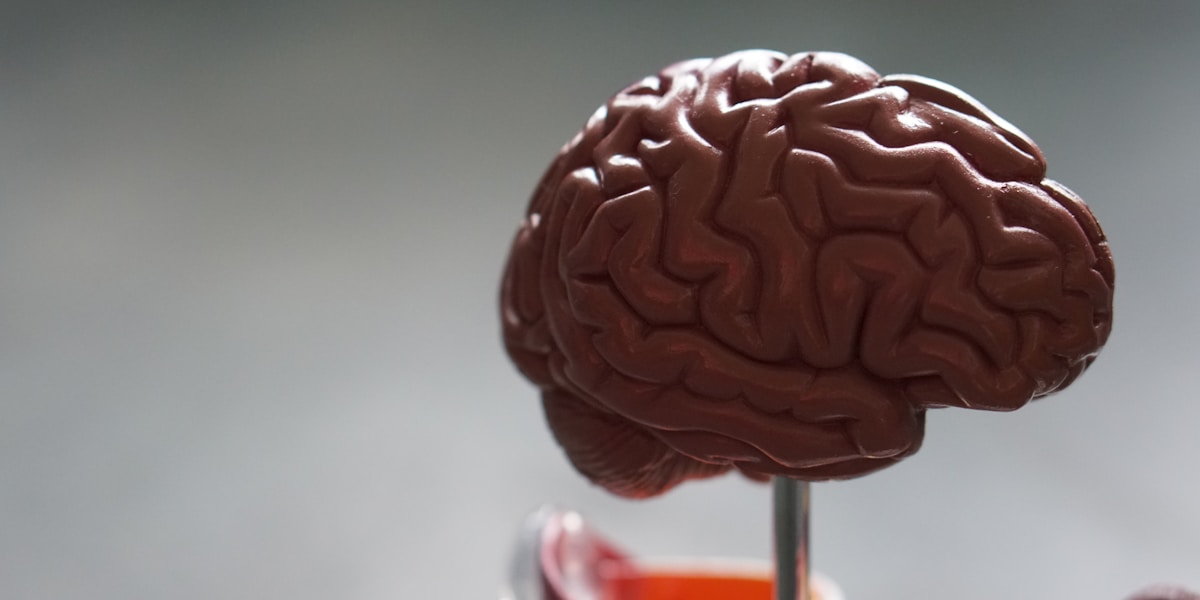 ADHD and Autism (AuDHD): How They Overlap and Differ