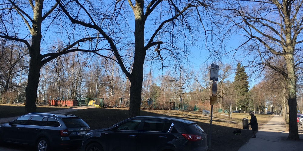 Person walking a dog in a park for regular physical activity