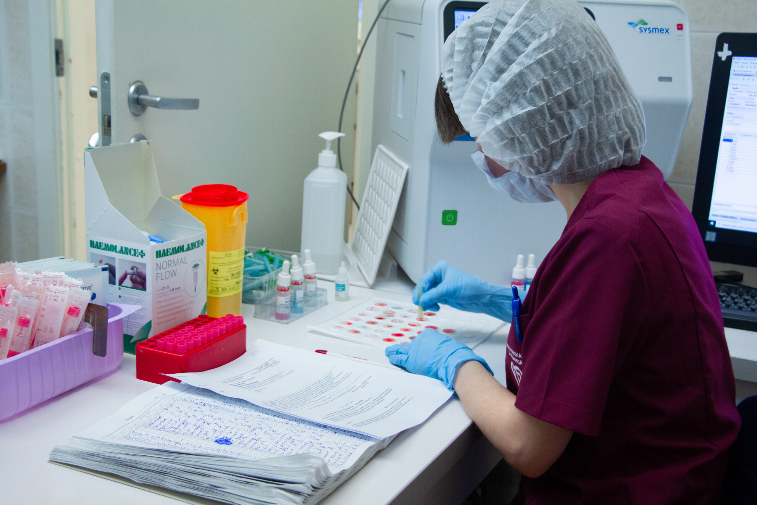 Blood sample prepared for laboratory testing